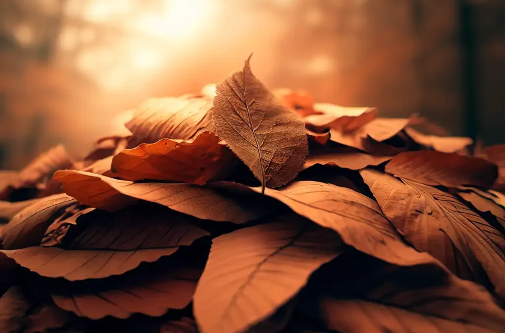 Effektives Laub entfernen im Herbst: Tipps für einen gepflegten Garten